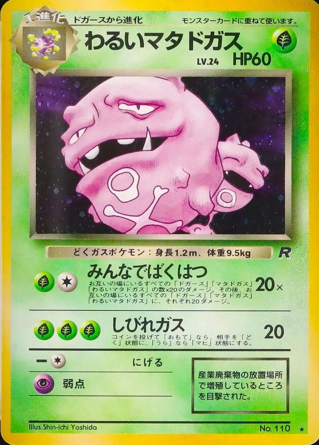 わるいマタドガス LV.24