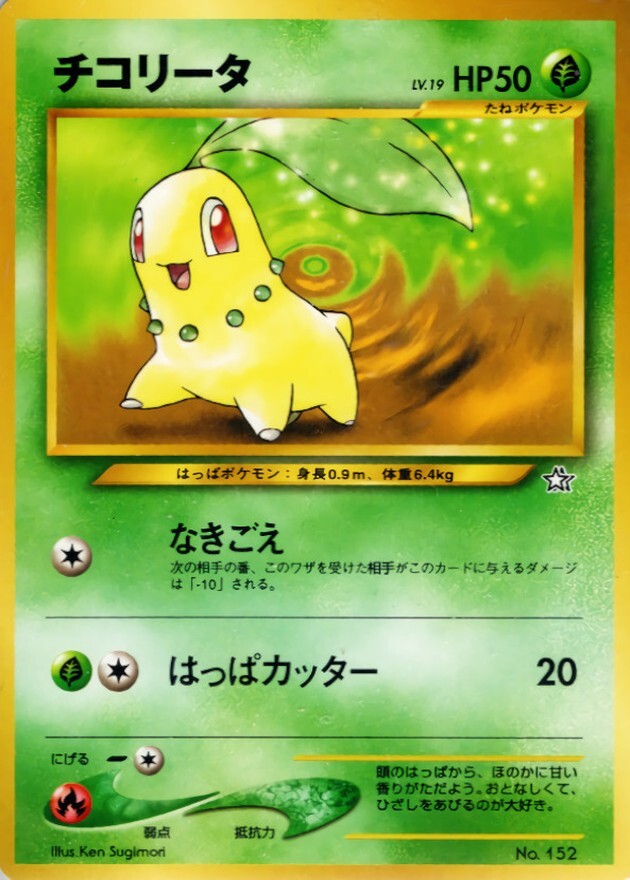 チコリータ LV.19
