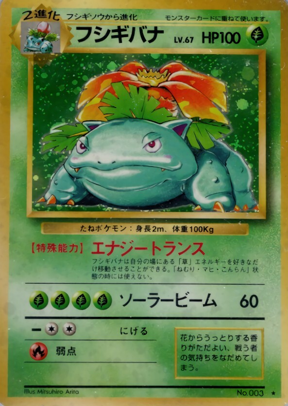 フシギバナ LV.67