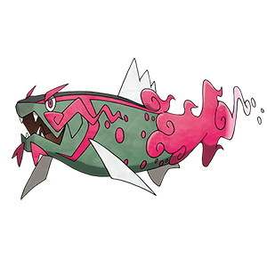 イダイトウ♂