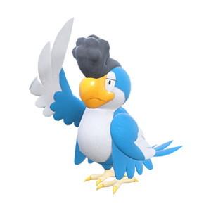 イキリンコ(ブルーフェザー)