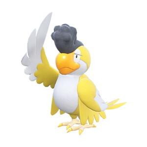 イキリンコ(イエローフェザー)