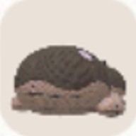 ドオー