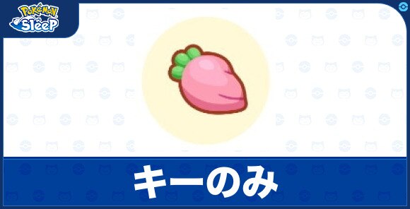 キーのみ