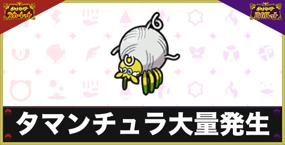 タマンチュラ大量発生