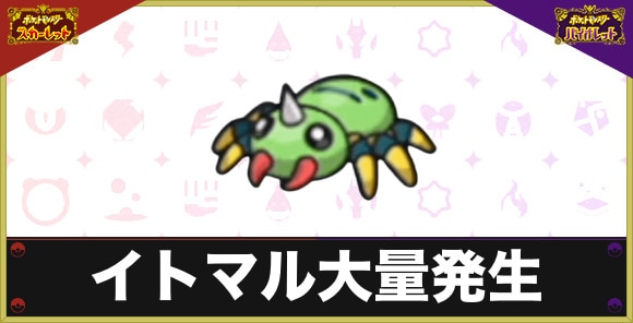 イトマル大量発生