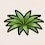 雑草