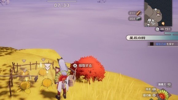 金策　金カボチャ採取