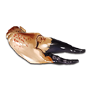 深海生物の甲殻