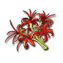 冥界の花