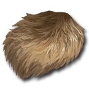 野獣の毛皮