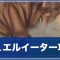 アルテマロゴ