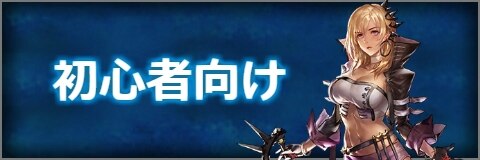 初心者向け