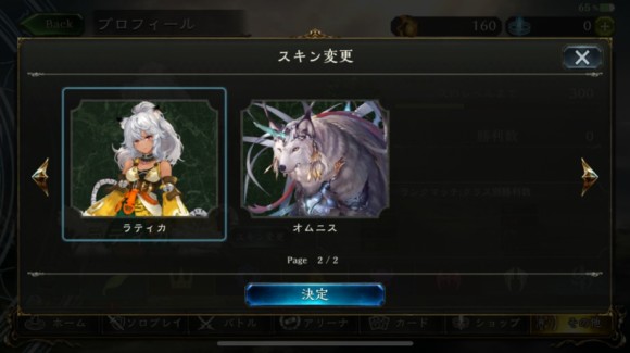 リーダースキン