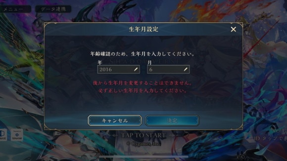 正確に言語や年齢を記入