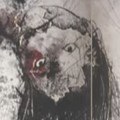アヤカカシ