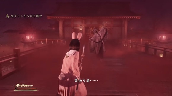 らしきもの