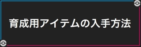 育成用アイテムの入手方法と効果まとめ