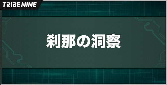 刹那の洞察