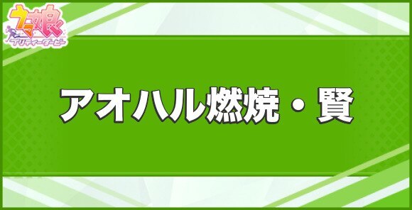アオハル燃焼・賢の効果と取得できるサポート・キャラ
