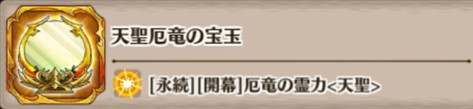 天聖厄竜の宝玉の評価とスキル詳細