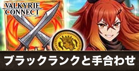 ブラックランクとの手合わせの攻略｜ランキングコネクト