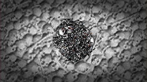 シャノアを使用して遺骸地帯のスケタマリを倒す