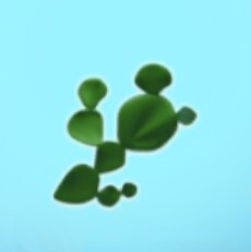 ハリメダ