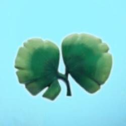 孔雀藻