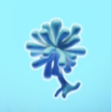 氷霊藻