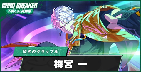 梅宮一(頂きのグラップル)の評価とおすすめパーティ