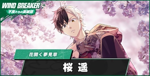 桜遥(花開く夢見草)の評価