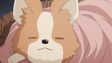 お主もそこがよかですか