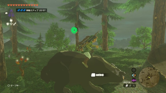 熊に乗る方法