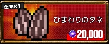 ひまわりのタネ