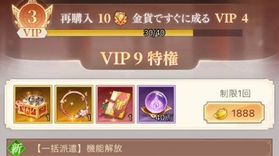 図6VIPランク